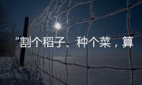 “割个稻子、种个菜，算劳动教育吗	？”	：下乡一周33年