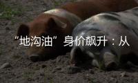 “地沟油”身价飙升：从餐厨废油到“减碳明星”