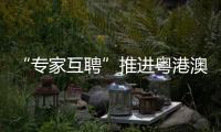 快排公司十年历程，霸屏兔 seo 的崛起与坚守