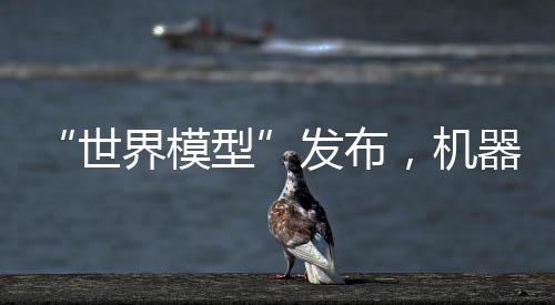 世界模型通常很难重现