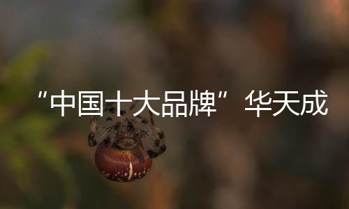 扶持计划启动消息发出之后