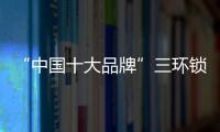 快排公司十年历程，霸屏兔 seo 的崛起与坚守