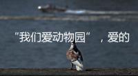 “我们爱动物园”，爱的是什么？