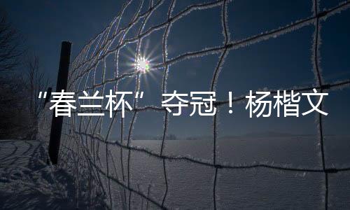 春兰杯2010年杨楷文定段成功