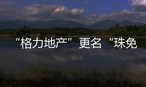 以免税业务为战略基石