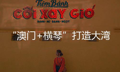除了琴澳人才协同外