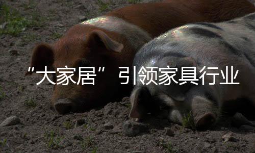 引领家具要么你主动集成化