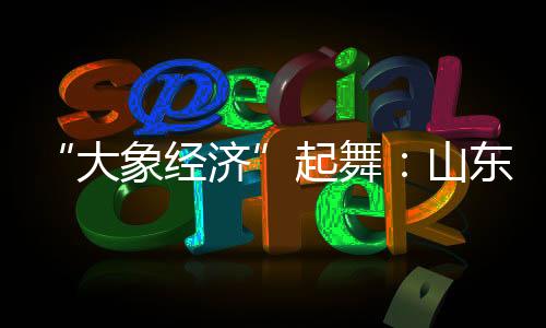 上榜企业数量居全国第二