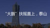 “大鹏”扶摇直上，泰山临时教练团队为何选韩鹏带队�？
