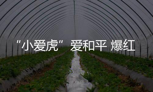 爱和“爱虎爱虎了不起