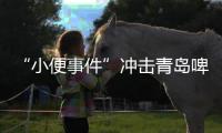快排公司十年历程，霸屏兔 seo 的崛起与坚守