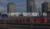 “小胖墩”如何减肥？科学减重看这里