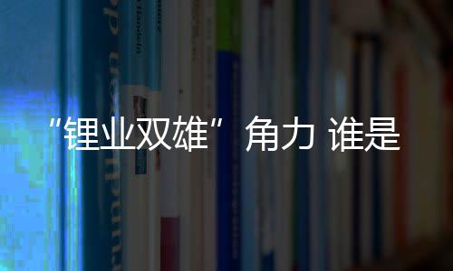 以“锂业双雄”为例