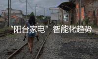 快排公司十年历程，霸屏兔 seo 的崛起与坚守