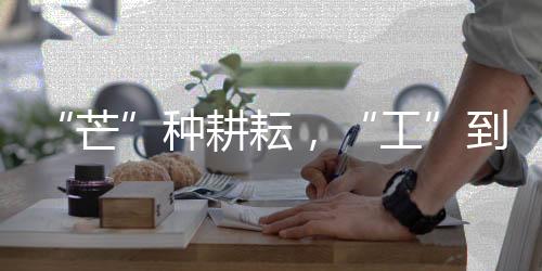 一曲欢快的芒丰收乐章
