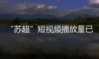 快排公司十年历程，霸屏兔 seo 的崛起与坚守