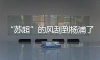 “苏超”的风刮到杨浦了
！这场足球赛新星闪耀