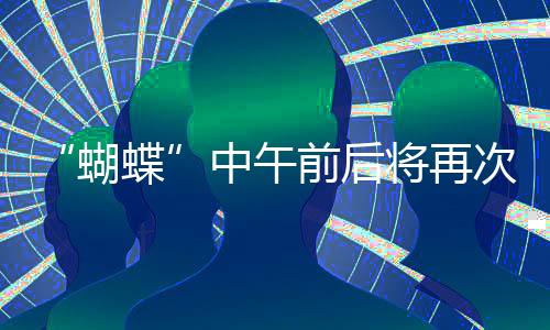 蝴蝶请继续做好各项防御工作