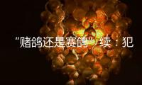 “赌鸽还是赛鸽”续：犯罪事实不清，不起诉组织者