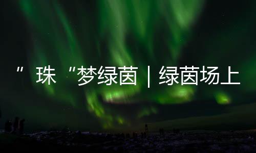 后面我们要备战珠海市赛了