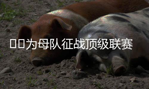 续约阿森纳以及萨德等队效力