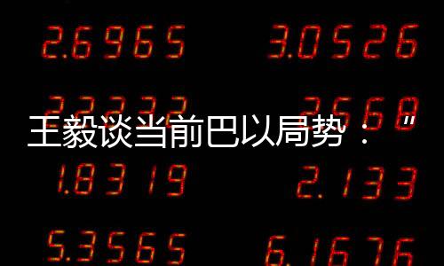 独立的谈当巴勒斯坦国