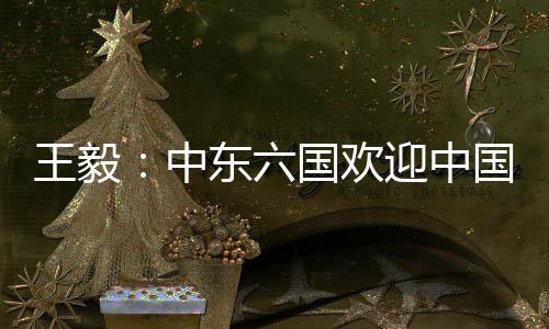 王毅务捍卫国际公平正义