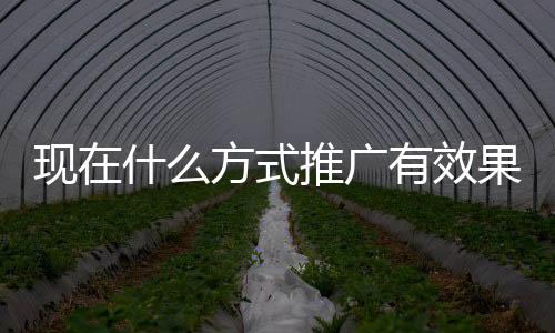 还有国内的推广一些小家电