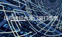 快排公司十年历程，霸屏兔 seo 的崛起与坚守