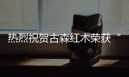 家具古森红木精彩不止