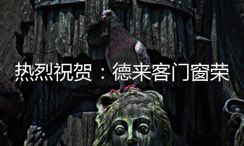 德客大门合身定制需求产品
