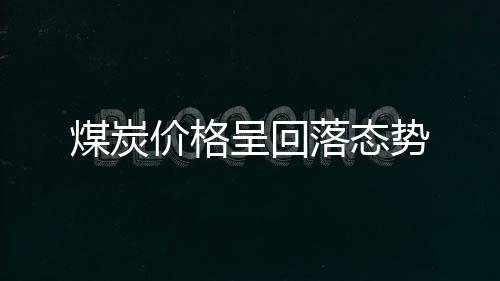 价格煤炭价格出现了回落态势
