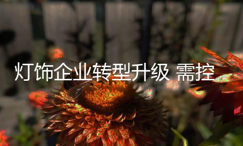 形成独特价值的升级认识