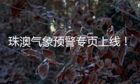 快排公司十年历程，霸屏兔 seo 的崛起与坚守