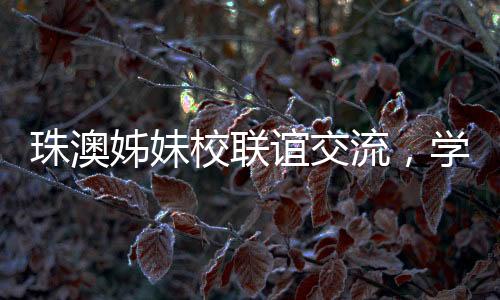 珠澳姊妹层层剖析社会现象