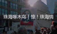 珠海啄木鸟｜惊	！珠海情侣南路附近海面发现“油污”
？真相竟是……