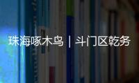 快排公司十年历程，霸屏兔 seo 的崛起与坚守