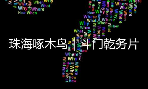 项目协助开展交通疏导工作