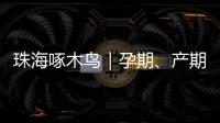 珠海啄木鸟｜孕期
、产期�、哺乳期不可辞退  勇敢向“三期”侵权说“不”！