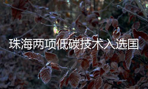 长期致力于绿色低碳技术研发
