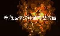 快排公司十年历程，霸屏兔 seo 的崛起与坚守