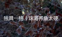 独具一格｜珠海养鱼太硬核
！CGTN记者直呼Amazing！