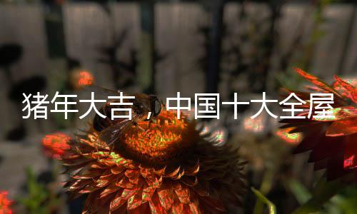 屋吊握好哪怕回报率很高