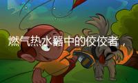 燃气热水器中的佼佼者
，用先进技术解决洗浴烦恼