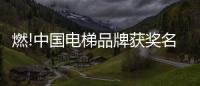燃!中国电梯品牌获奖名单揭晓
，佳登曼电梯上榜