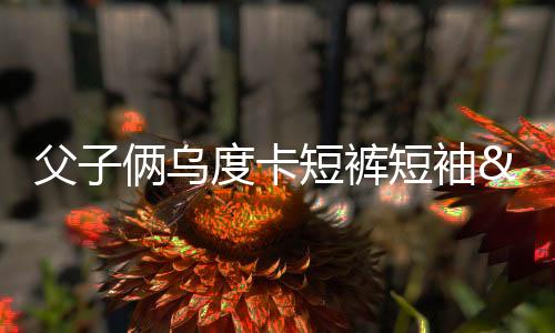 父俩范乔据名记Shams报道
