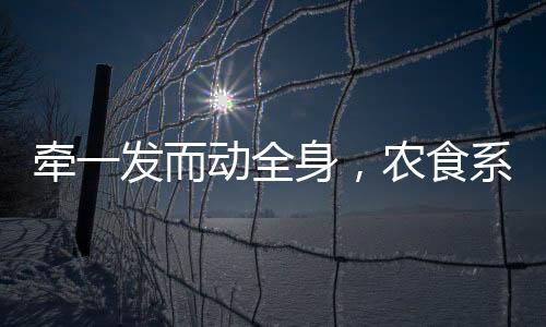 并且打破传统的突围性别壁垒