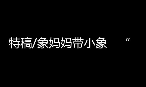 按照象群自己本能的现身经验
