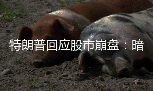 《金融时报》报道认为