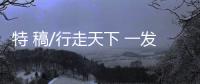 快排公司十年历程，霸屏兔 seo 的崛起与坚守